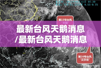 最新台风天鹅消息/最新台风天鹅消息新闻