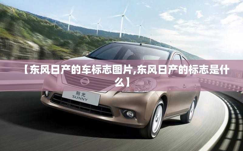 【东风日产的车标志图片,东风日产的标志是什么】