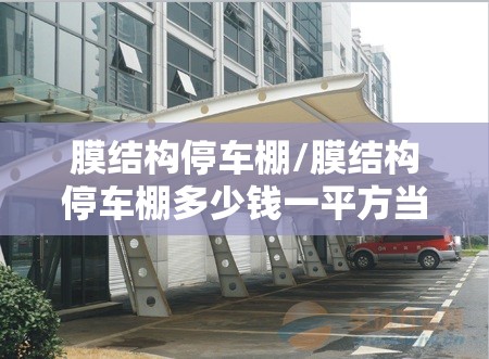膜结构停车棚/膜结构停车棚多少钱一平方当兵的人
