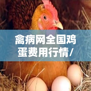 禽病网全国鸡蛋费用行情/禽病网最新鸡蛋费用行情 禽病网全国鸡蛋费用行情/禽病网最新鸡蛋费用行情