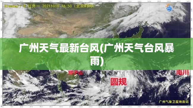 广州天气最新台风(广州天气台风暴雨)