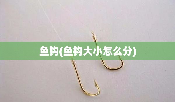 鱼钩(鱼钩大小怎么分) 鱼钩(鱼钩大小怎么分)