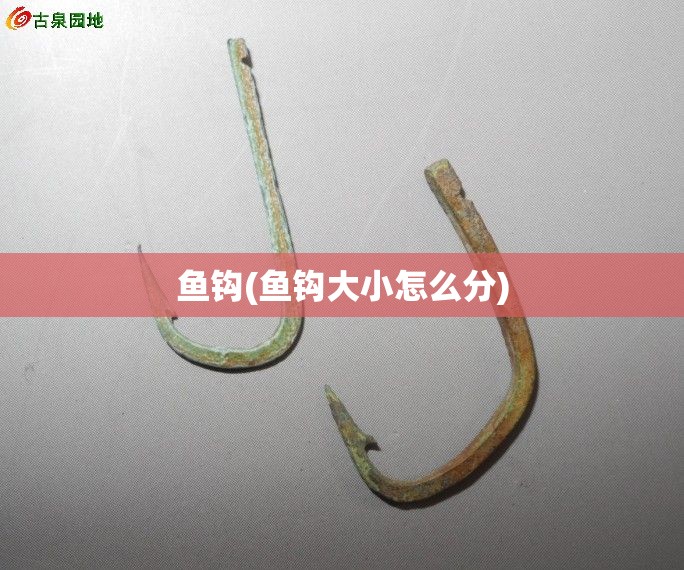 鱼钩(鱼钩大小怎么分) 鱼钩(鱼钩大小怎么分)