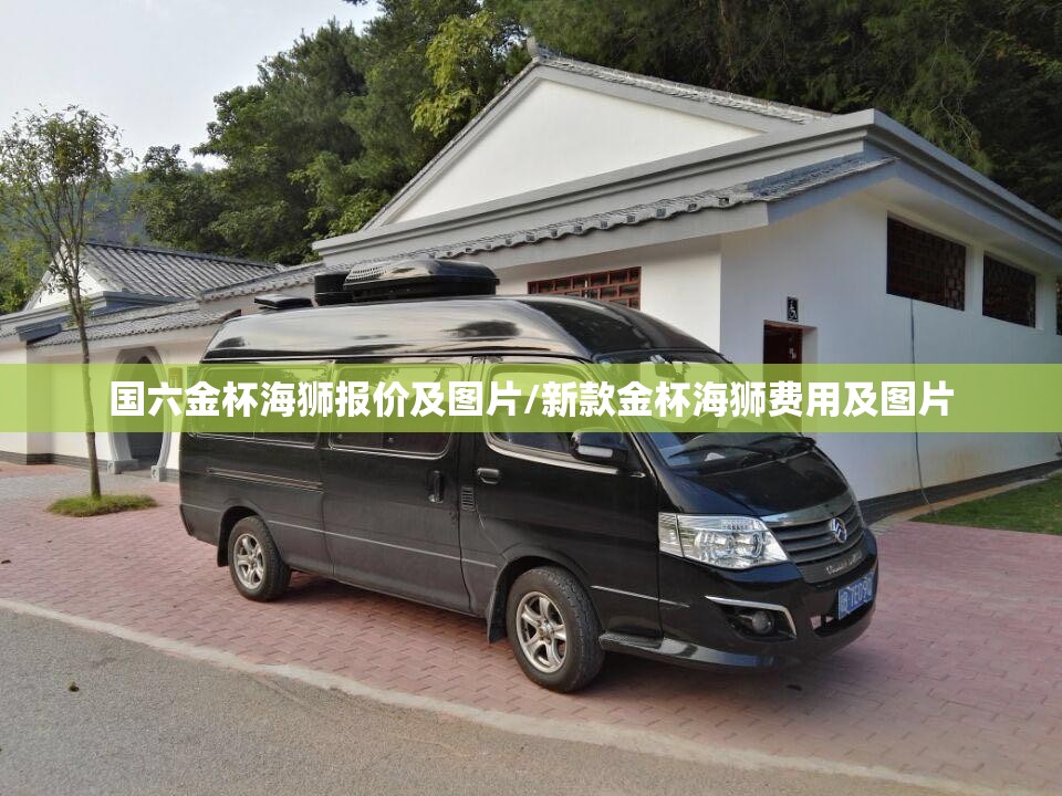 国六金杯海狮报价及图片/新款金杯海狮费用及图片