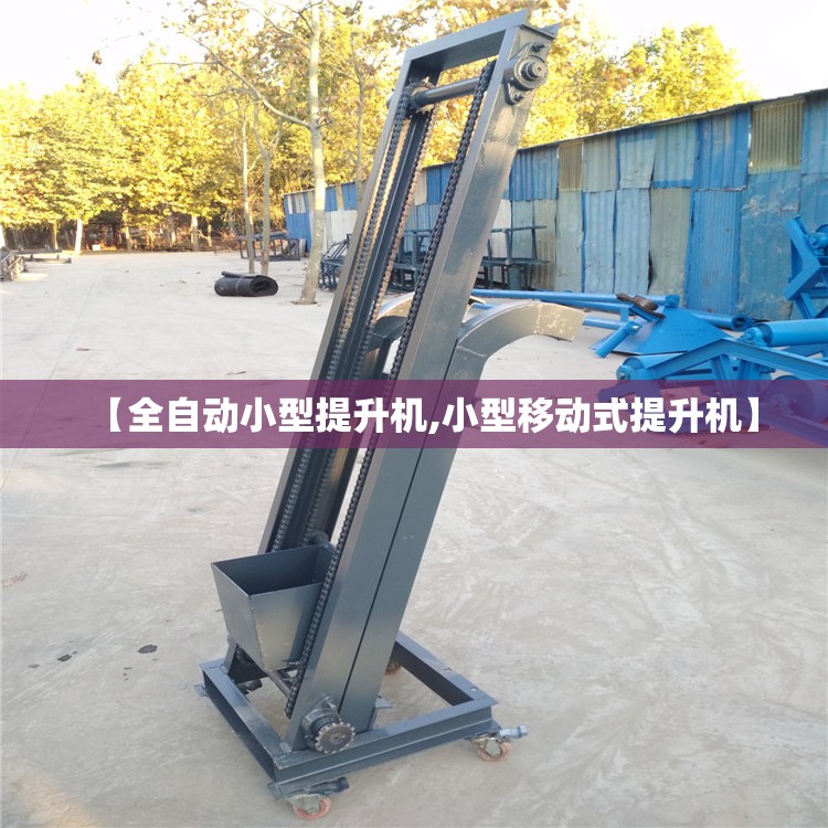 【全自动小型提升机,小型移动式提升机】