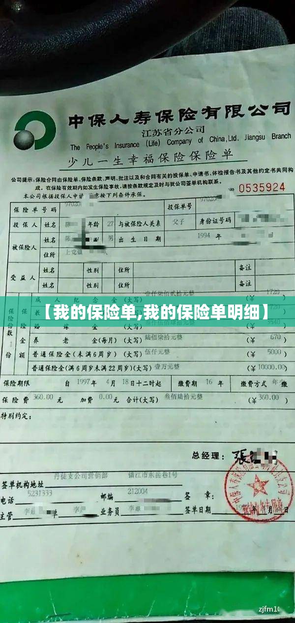 【我的保险单,我的保险单明细】