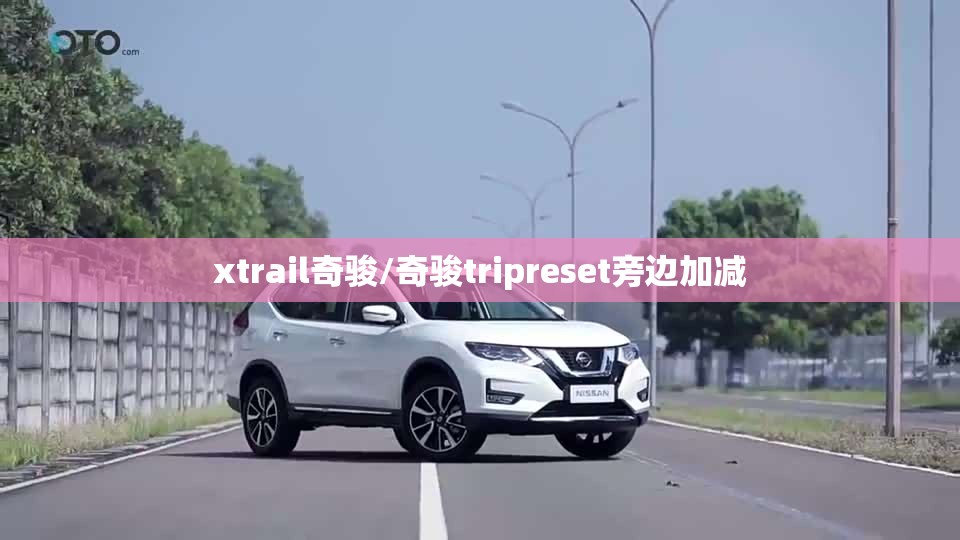 xtrail奇骏/奇骏tripreset旁边加减