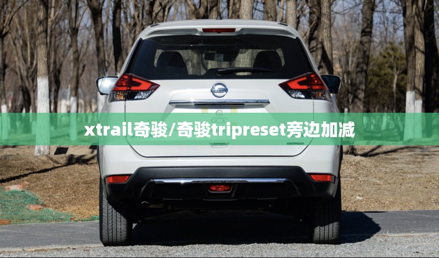 xtrail奇骏/奇骏tripreset旁边加减