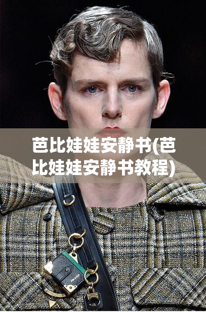 芭比娃娃安静书(芭比娃娃安静书教程)