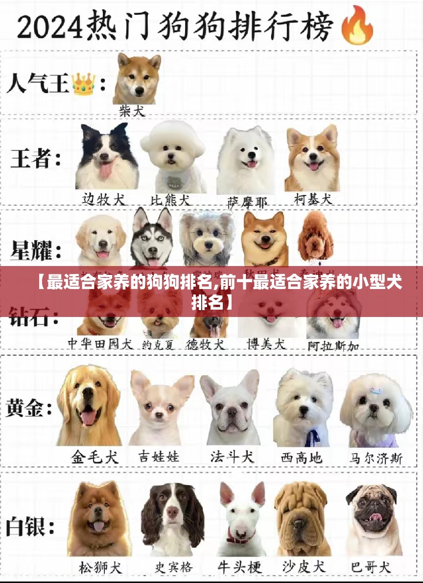 【最适合家养的狗狗排名,前十最适合家养的小型犬排名】 【最适合家养的狗狗排名,前十最适合家养的小型犬排名】