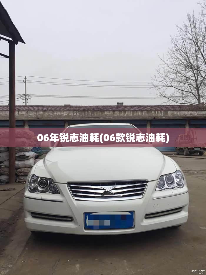 06年锐志油耗(06款锐志油耗) 06年锐志油耗(06款锐志油耗)
