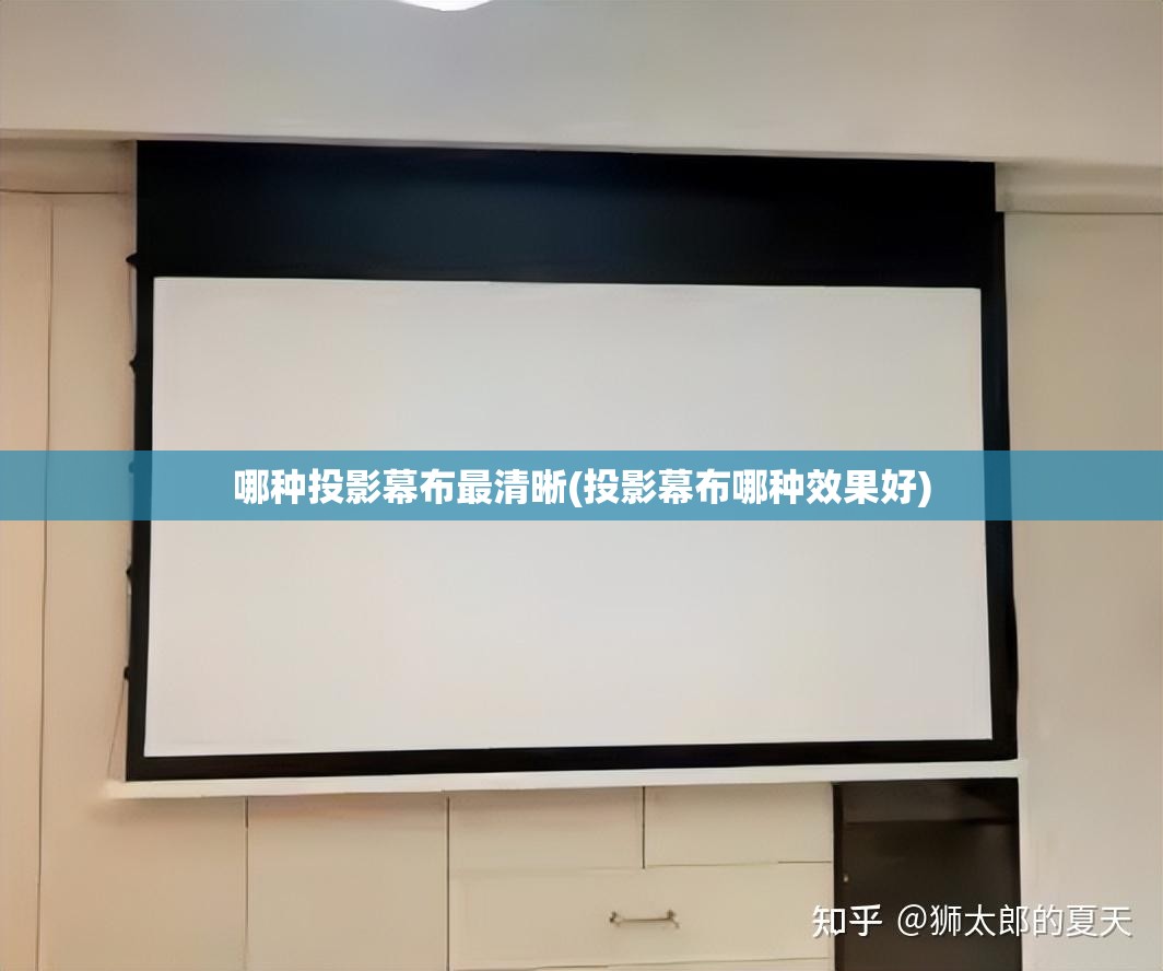 哪种投影幕布最清晰(投影幕布哪种效果好)
