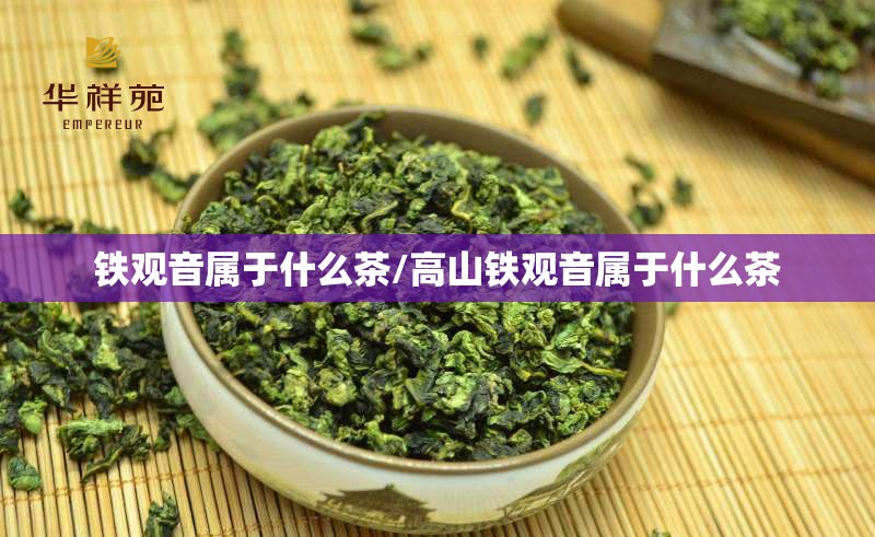 铁观音属于什么茶/高山铁观音属于什么茶 铁观音属于什么茶/高山铁观音属于什么茶