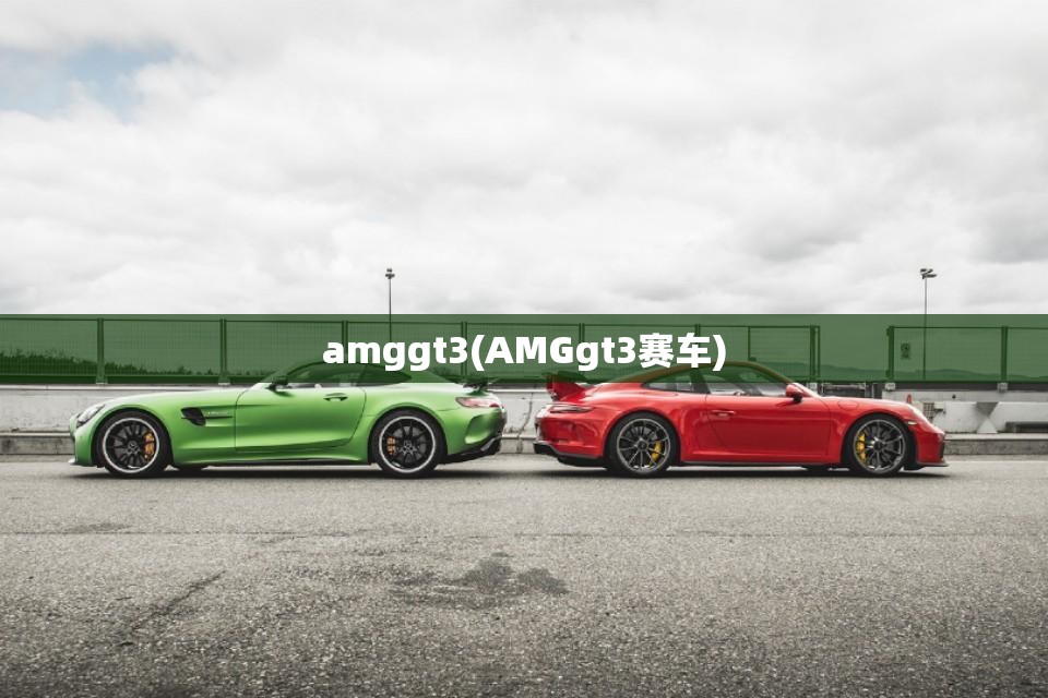 amggt3(AMGgt3赛车)