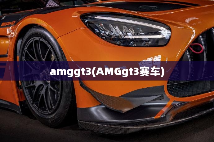 amggt3(AMGgt3赛车)