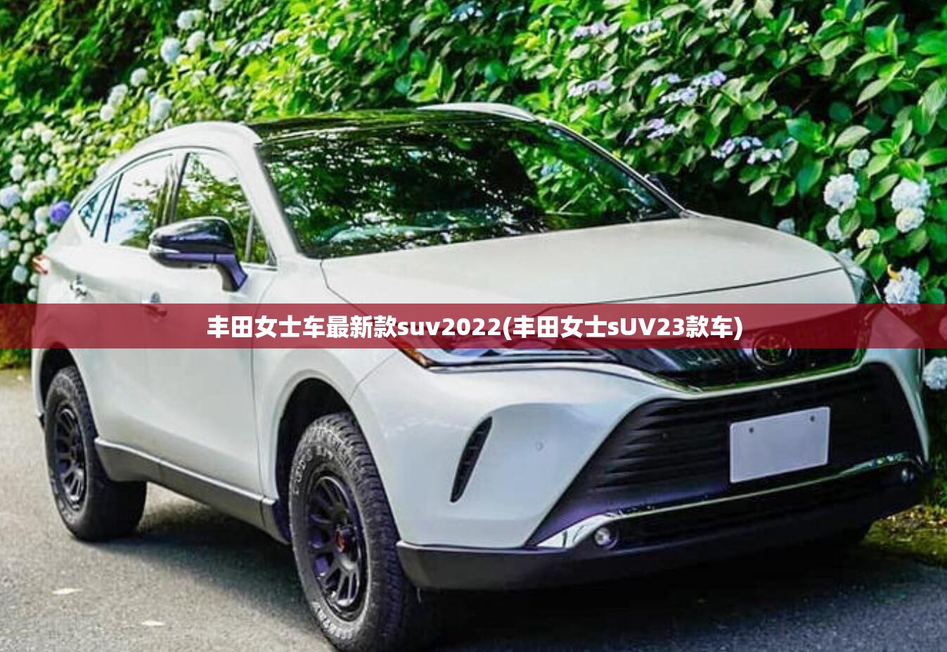 丰田女士车最新款suv2022(丰田女士sUV23款车) 丰田女士车最新款suv2022(丰田女士sUV23款车)