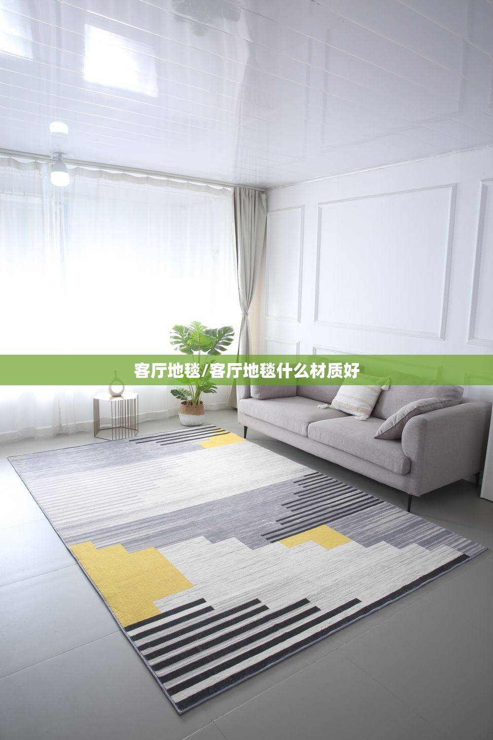 客厅地毯/客厅地毯什么材质好