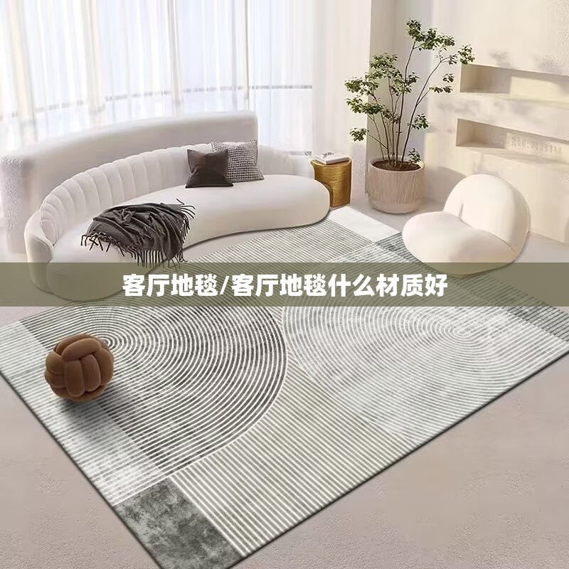 客厅地毯/客厅地毯什么材质好