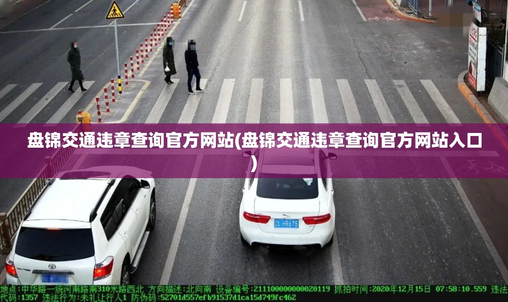 盘锦交通违章查询官方网站(盘锦交通违章查询官方网站入口)