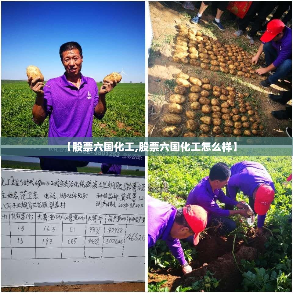 【股票六国化工,股票六国化工怎么样】 【股票六国化工,股票六国化工怎么样】