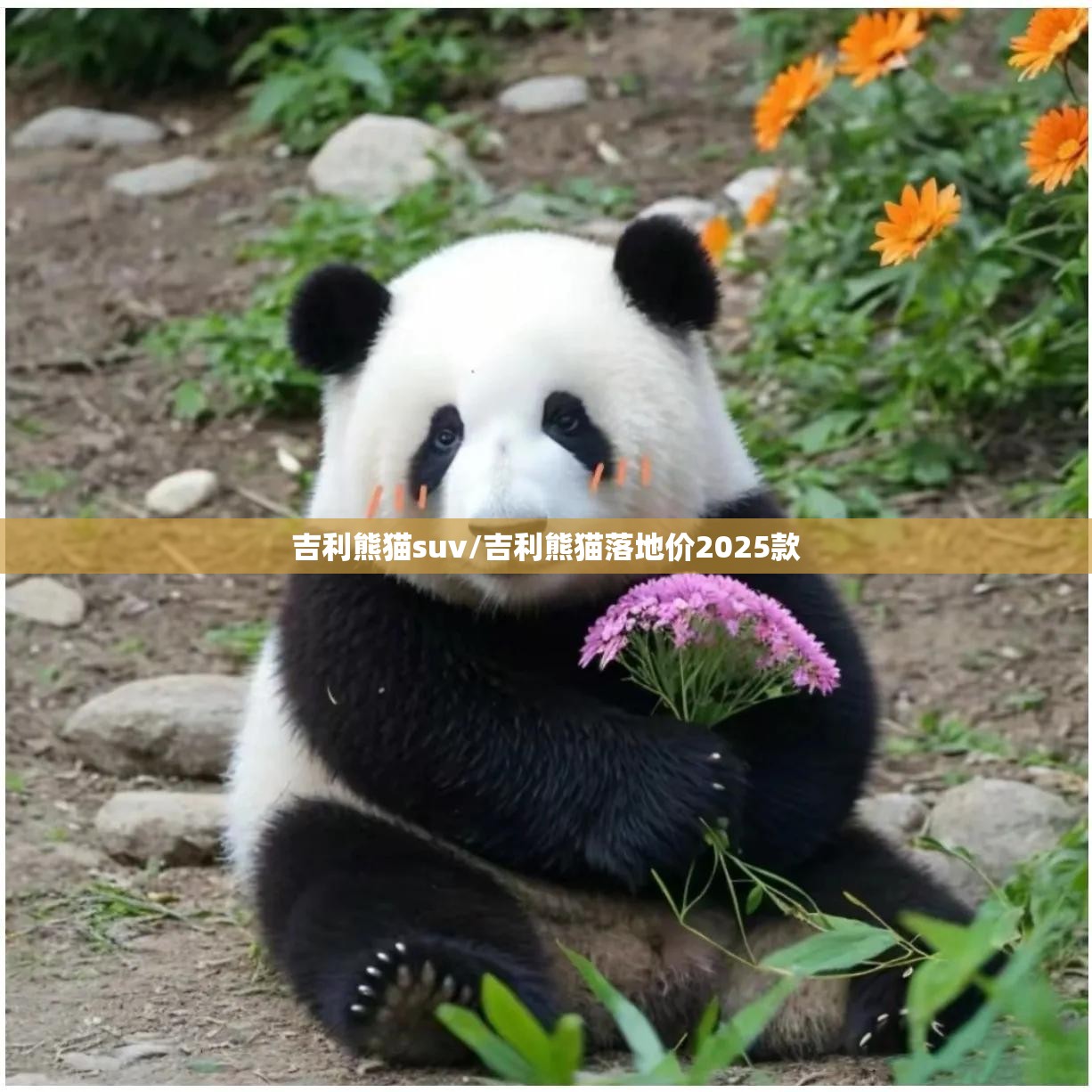 吉利熊猫suv/吉利熊猫落地价2025款