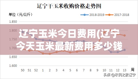 辽宁玉米今日费用(辽宁今天玉米最新费用多少钱一斤)