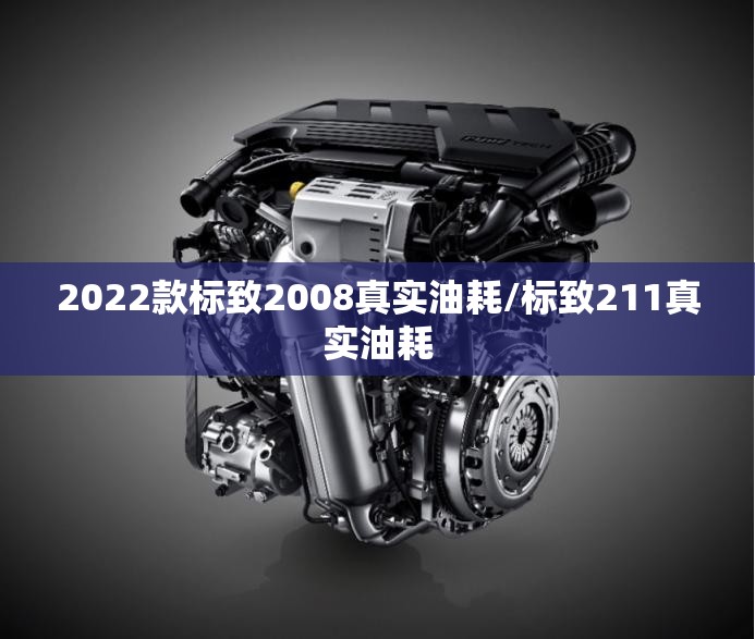 2022款标致2008真实油耗/标致211真实油耗 2022款标致2008真实油耗/标致211真实油耗