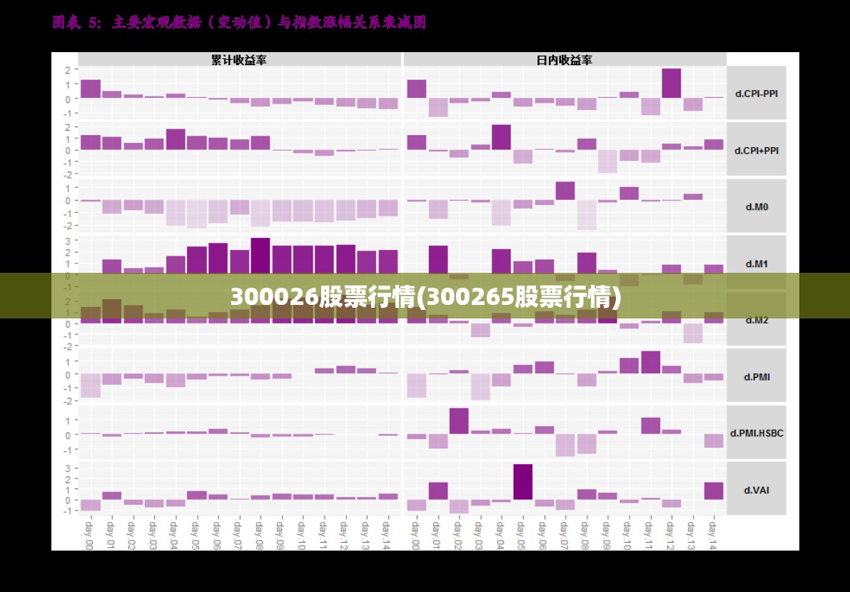 300026股票行情(300265股票行情)