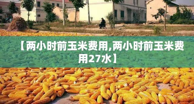 【两小时前玉米费用,两小时前玉米费用27水】 【两小时前玉米费用,两小时前玉米费用27水】