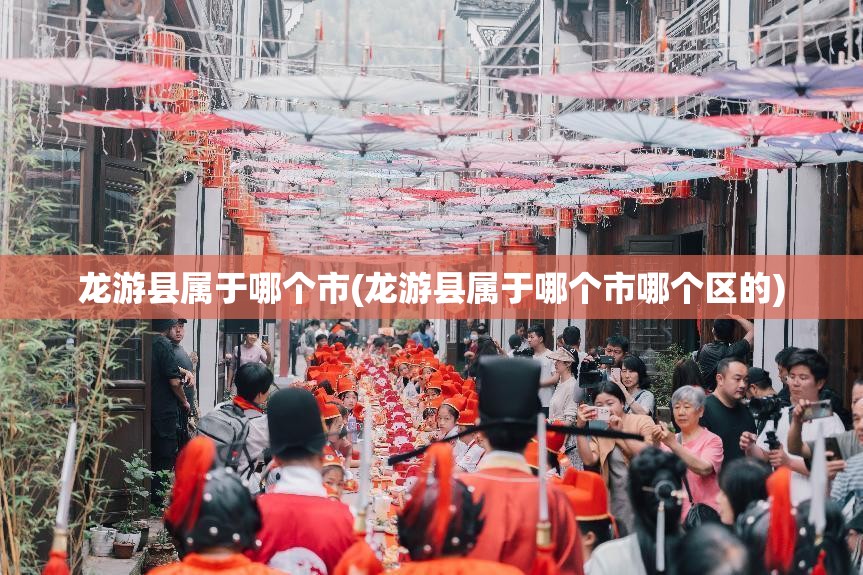 龙游县属于哪个市(龙游县属于哪个市哪个区的)
