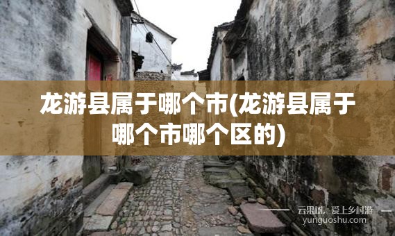 龙游县属于哪个市(龙游县属于哪个市哪个区的)