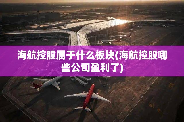 海航控股属于什么板块(海航控股哪些公司盈利了)
