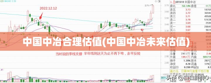 中国中冶合理估值(中国中冶未来估值) 中国中冶合理估值(中国中冶未来估值)