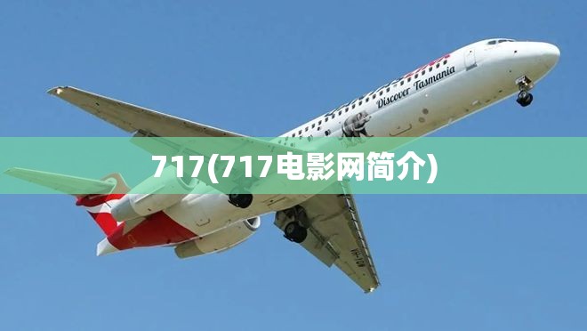 717(717电影网简介)
