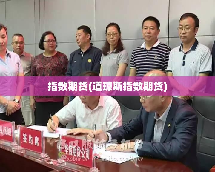指数期货(道琼斯指数期货) 指数期货(道琼斯指数期货)