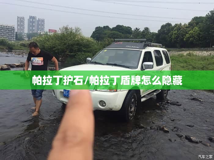 帕拉丁护石/帕拉丁盾牌怎么隐藏 帕拉丁护石/帕拉丁盾牌怎么隐藏