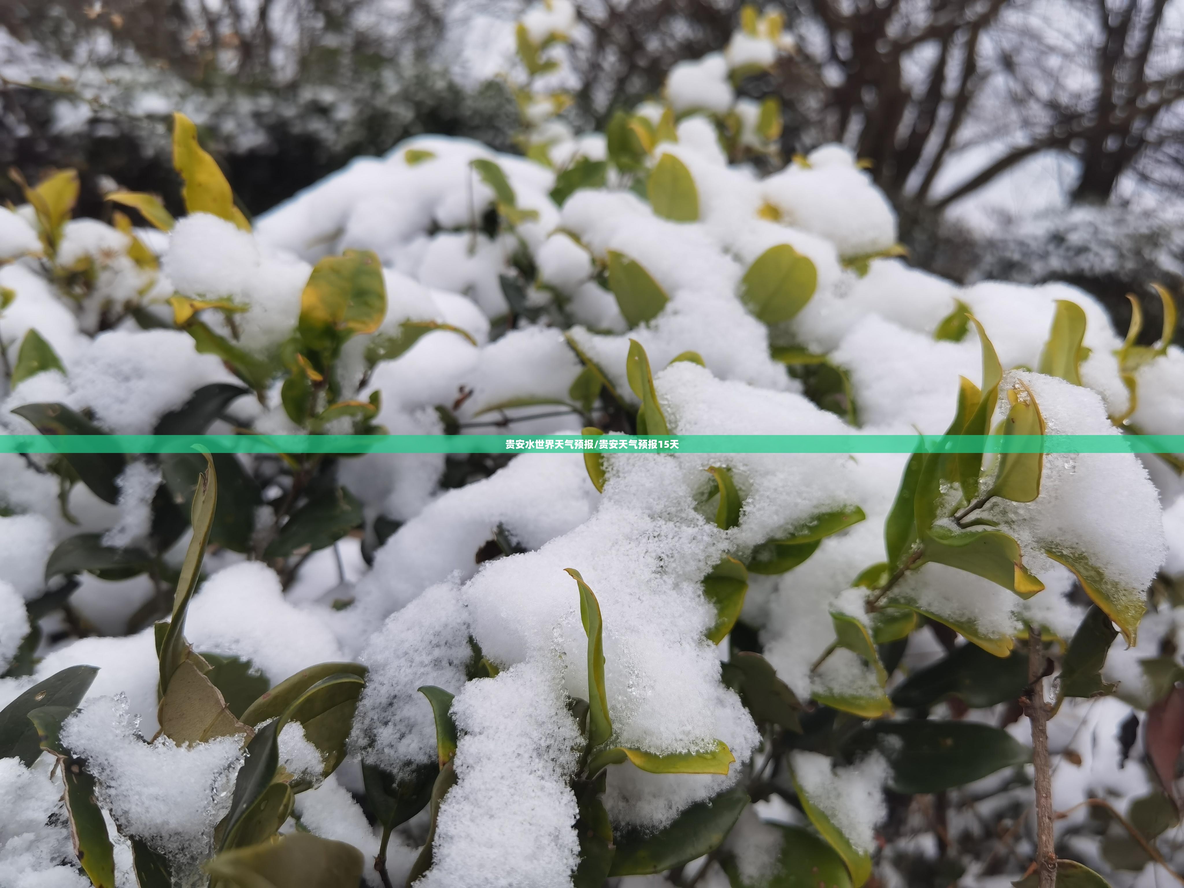 贵安水世界天气预报/贵安天气预报15天 贵安水世界天气预报/贵安天气预报15天