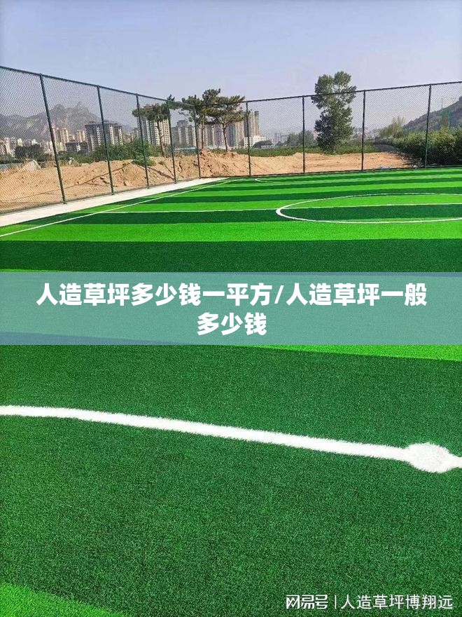 人造草坪多少钱一平方/人造草坪一般多少钱 人造草坪多少钱一平方/人造草坪一般多少钱