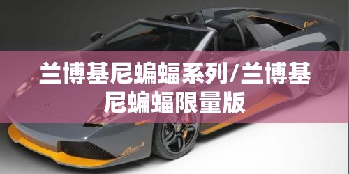 兰博基尼蝙蝠系列/兰博基尼蝙蝠限量版