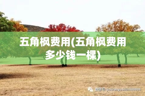 五角枫费用(五角枫费用多少钱一棵)