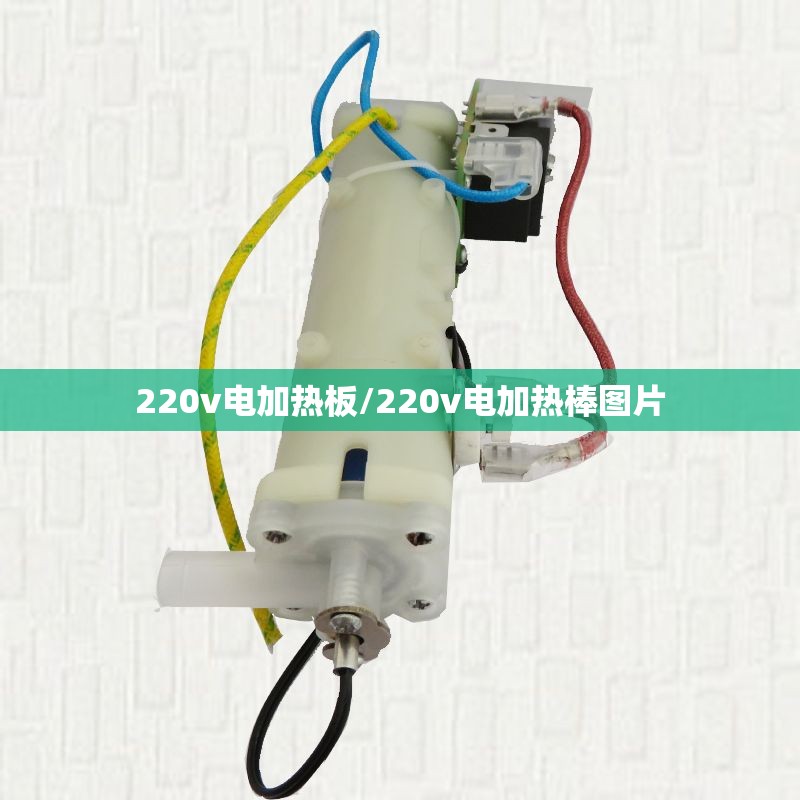 220v电加热板/220v电加热棒图片