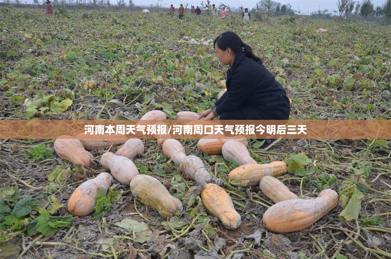 河南本周天气预报/河南周口天气预报今明后三天