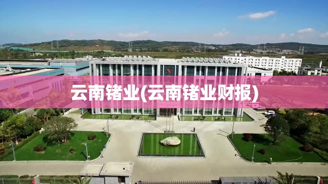 云南锗业(云南锗业财报)