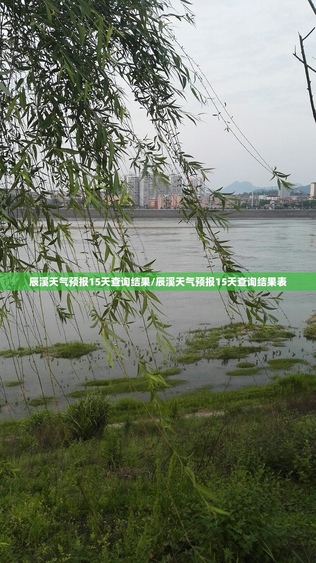 辰溪天气预报15天查询结果/辰溪天气预报15天查询结果表 辰溪天气预报15天查询结果/辰溪天气预报15天查询结果表