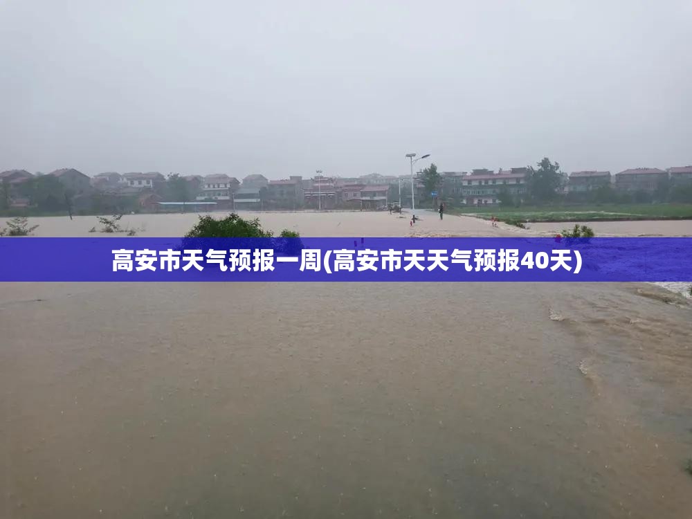 高安市天气预报一周(高安市天天气预报40天)