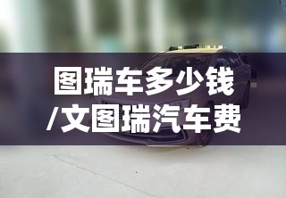 图瑞车多少钱/文图瑞汽车费用