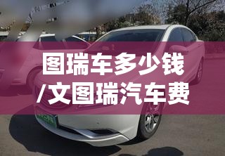 图瑞车多少钱/文图瑞汽车费用