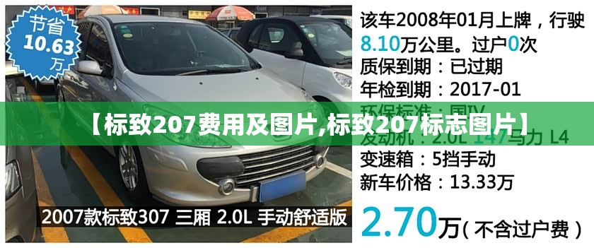 【标致207费用及图片,标致207标志图片】