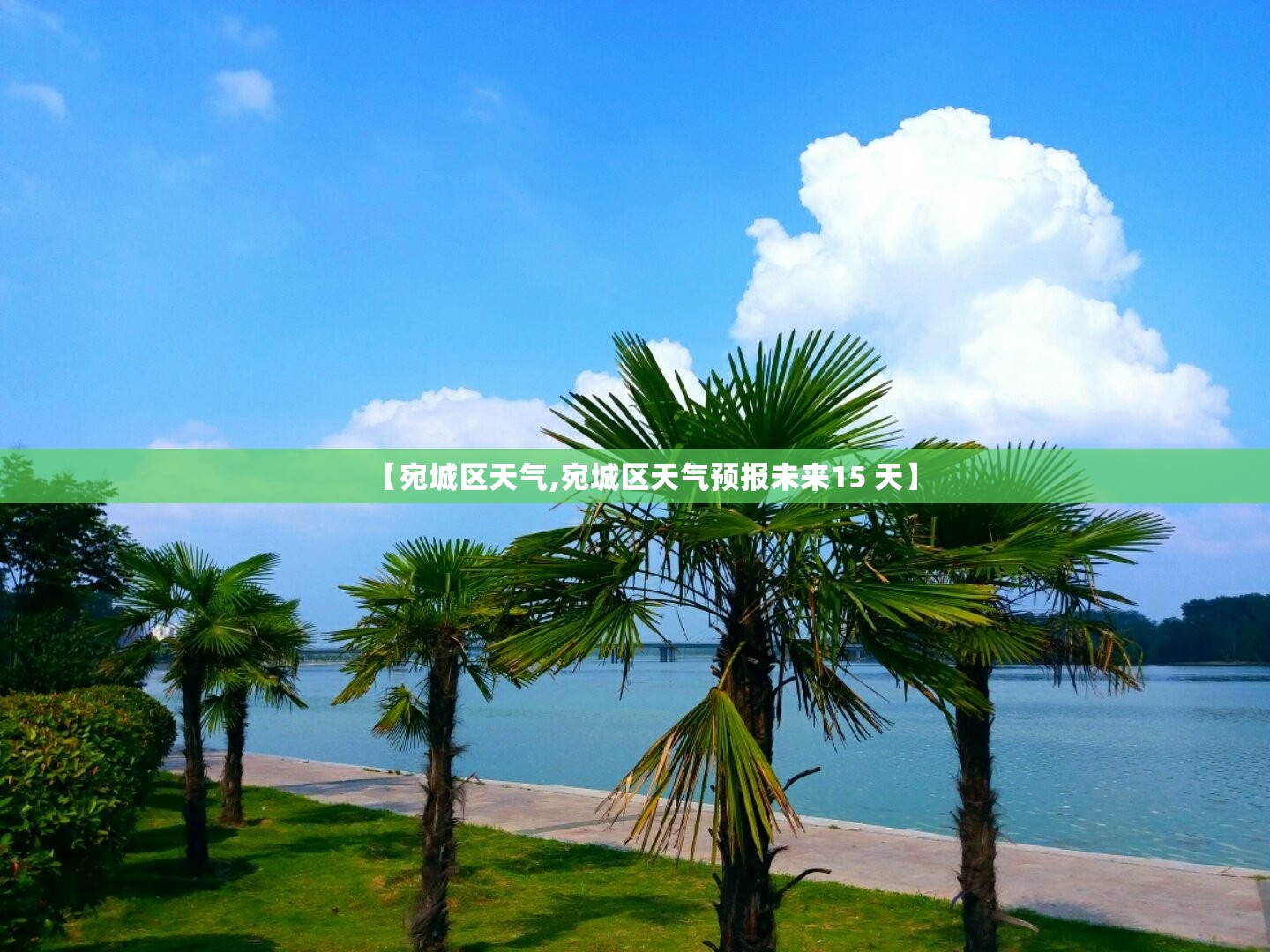 【宛城区天气,宛城区天气预报未来15 天】