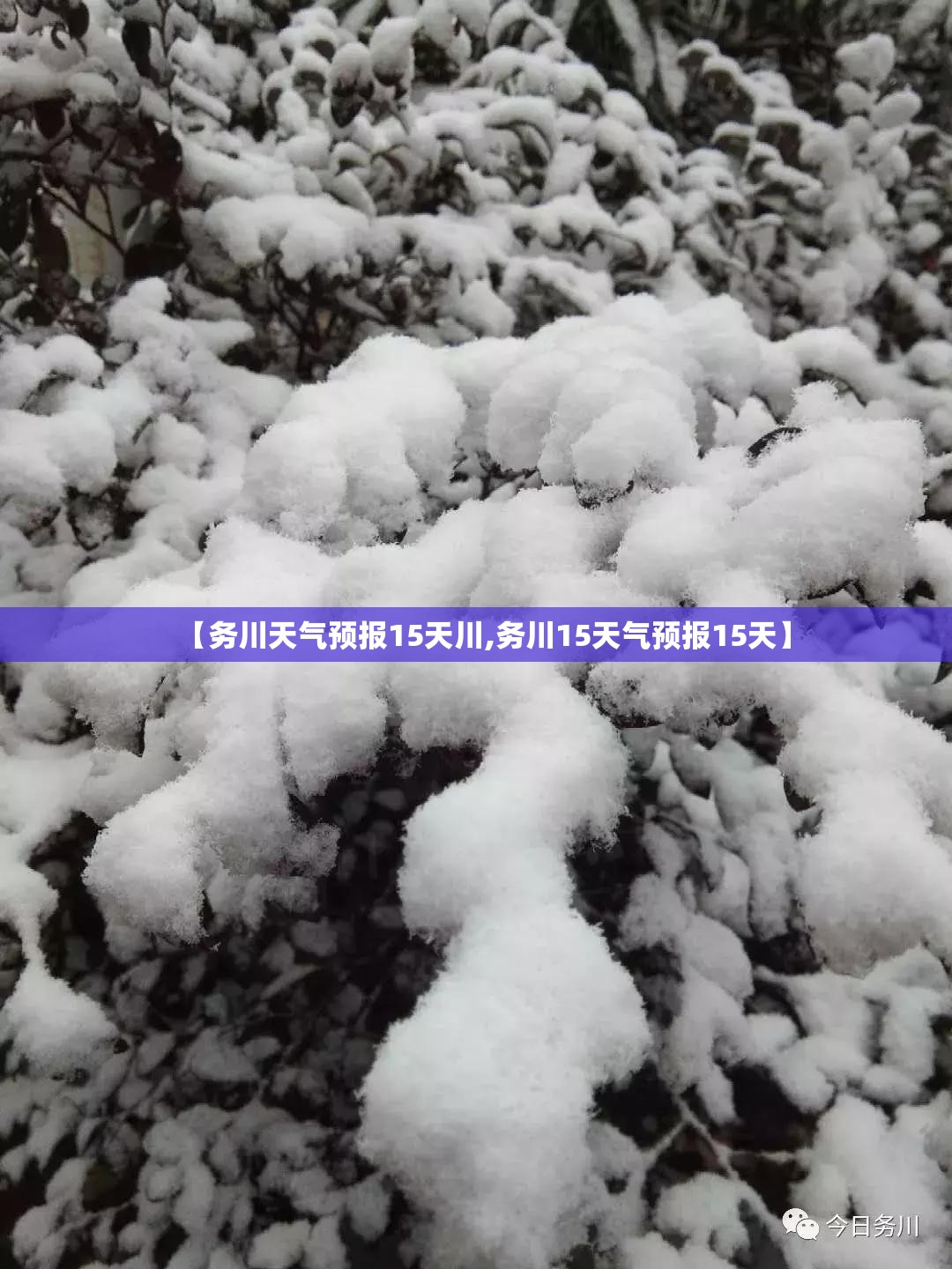 【务川天气预报15天川,务川15天气预报15天】 【务川天气预报15天川,务川15天气预报15天】